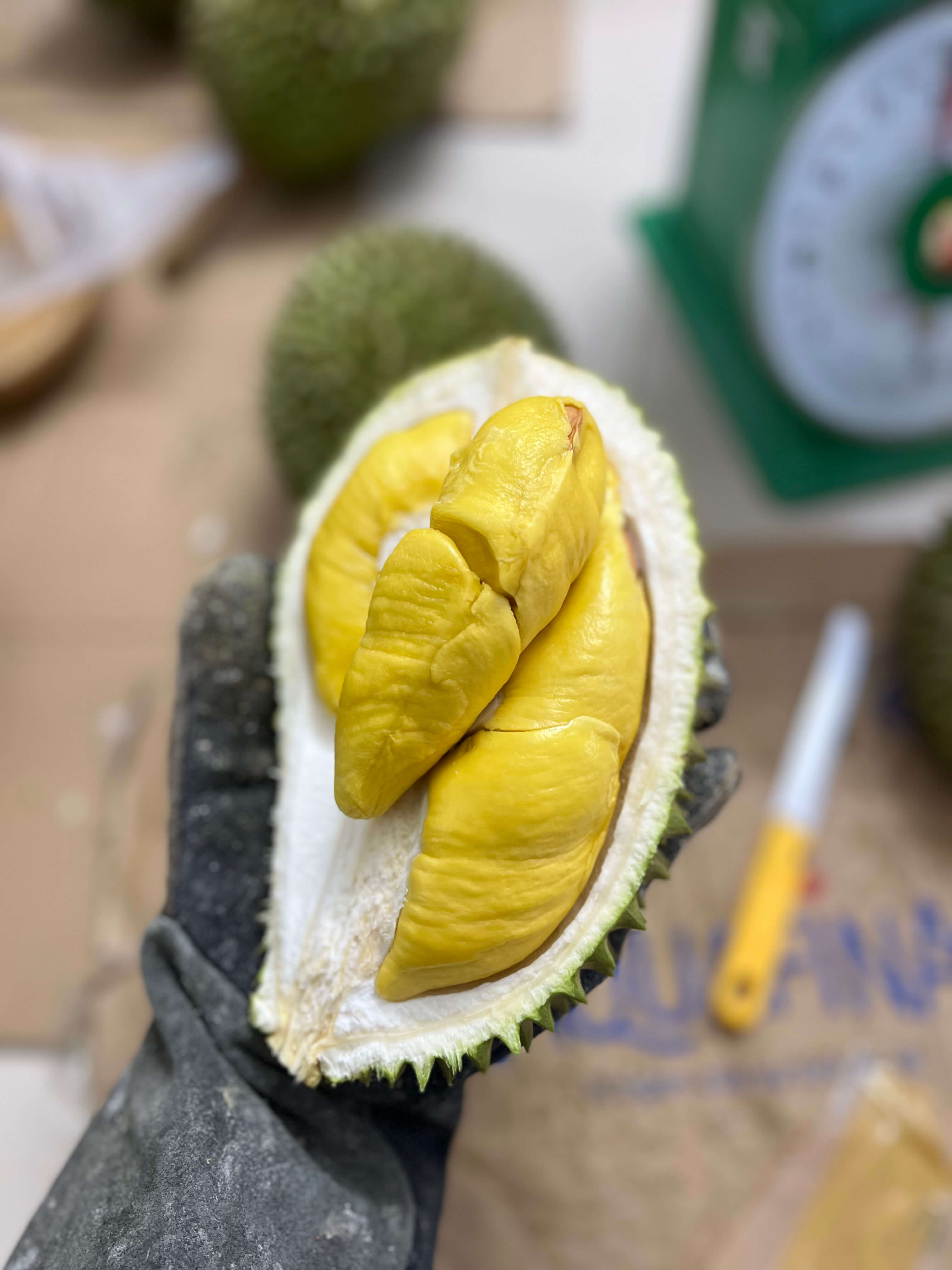 Musangking Miền Tây - Múi căng